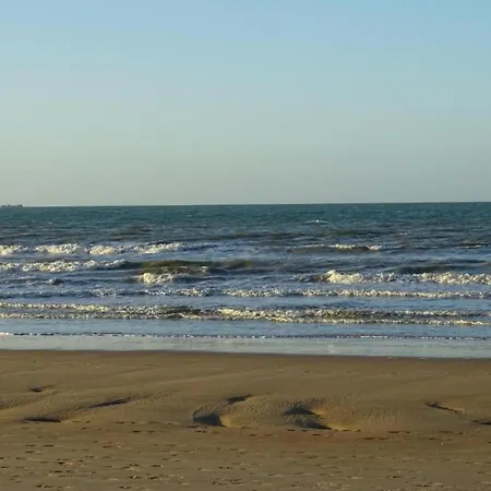 In Belgium Near The Seaside, Cleaning Included 아파트 니우포르트