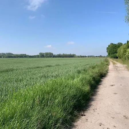 아파트 In Belgium Near The Seaside, Cleaning Included 니우포르트
