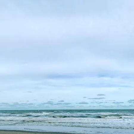 In Belgium Near The Seaside, Cleaning Included